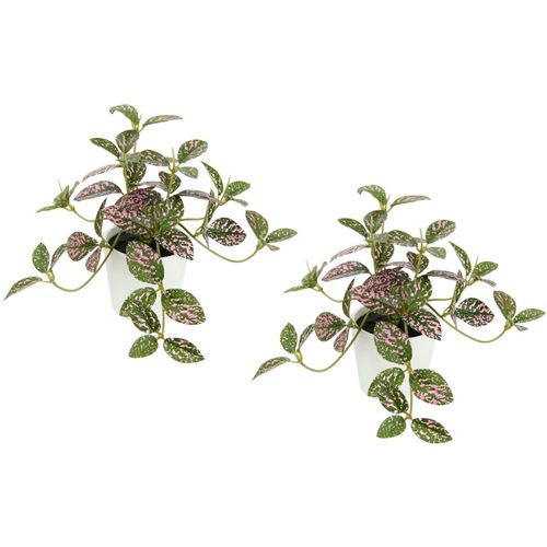 Kunstpflanze I.GE.A. "Künstliche Zimmerpflanze mini Aucuba im Topf Pflanze", grün (grün, rot), B:15cm H:14cm L:12cm, Polyester, Kunstpflanzen, Kunstpflanze, Seidenblumen Hängepflanzen rankende Blattpflanze hängend Grünpflanzen