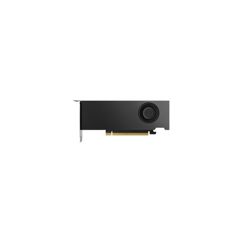 NVIDIA Grafikkarte "RTX 2000 Ada 16 GB GDDR6", ohne farbbezeichnung, Grafikkarten