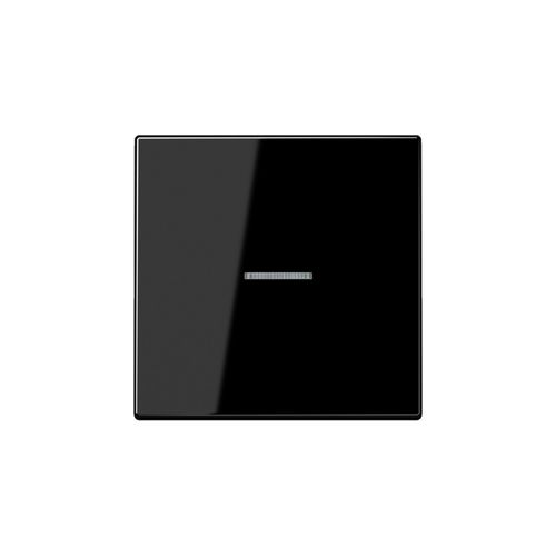 Jung Wippe Lichtleiter ws für Taster LS 990 KO5 SW (LS990KO5SW)