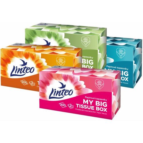 Linteo Paper Tissues Two-ply Paper, 200 pcs per box papieren zakdoekjes 200 st