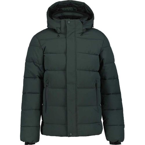 Icepeak Bixby I Jacke Grün 46 Herren Grün 46