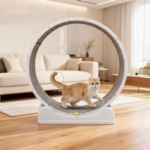 Katzenlaufrad - Standardmodell - Leiser Betrieb - Sichere Bremse - Teppichlaufbahn - Für drinnen - Mehrfarbig