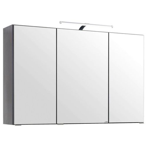 Xora Spiegelschrank, Graphit, Metall, 6 Fächer, 100x64x20 cm, Made in Germany, Badezimmer, Badezimmerspiegel, Spiegelschränke
