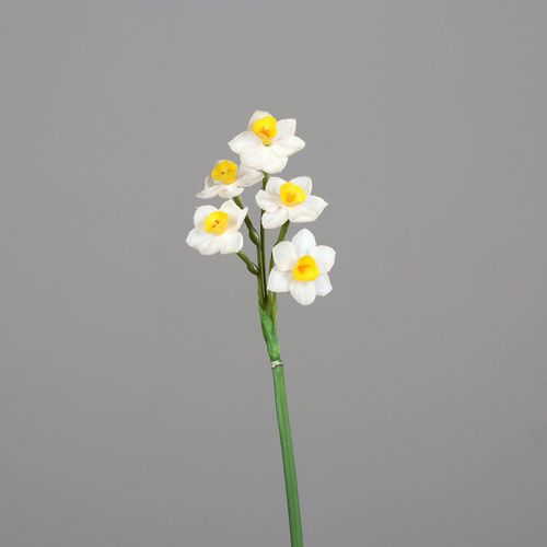 Kunstblume Narzisse