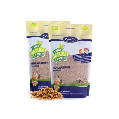 Lyra Pet Mehlwürmer getrocknet 2 kg