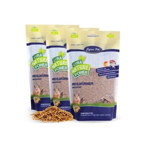 Lyra Pet Mehlwürmer getrocknet 3x1 kg
