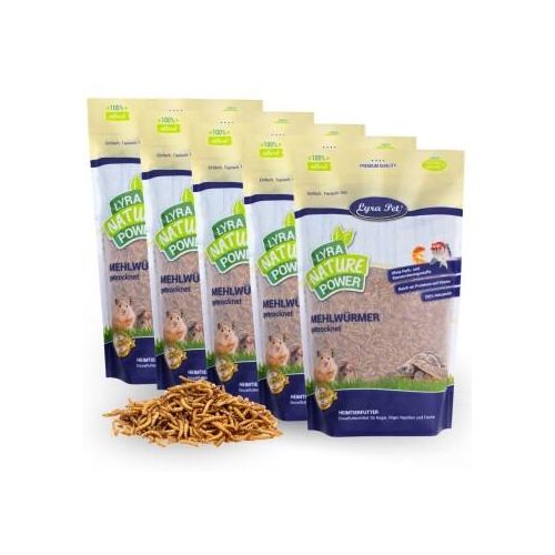 Lyra Pet Mehlwürmer getrocknet 5x1 kg