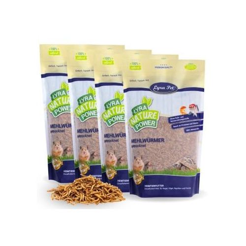 Lyra Pet Mehlwürmer getrocknet 4x1 kg