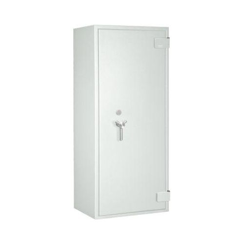 Papiersicherungsschrank Paper Star Pro 4, lichtgrau RAL 7035