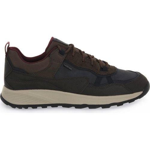 Geox Ohne Kategorie für Herren