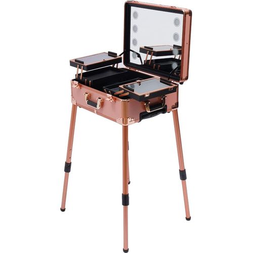 Schminkkoffer Tragbar Trolley, Abschließbar Kosmetikkoffer Mit Spiegel (Roségold)