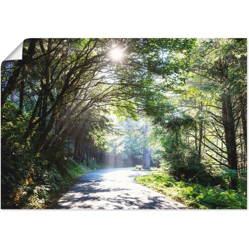 Poster ARTLAND "Sonniger Wald", grün (farbe bild(er): grün), B:70cm H:50cm, Bilder, Poster, ohne Rahmen