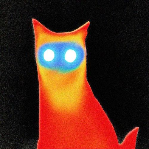 Basement Wired LP multicolor 0199438002530