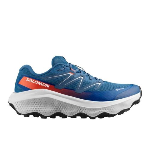 Salomon Herren Ultra Flow 2 GTX blau 44.0