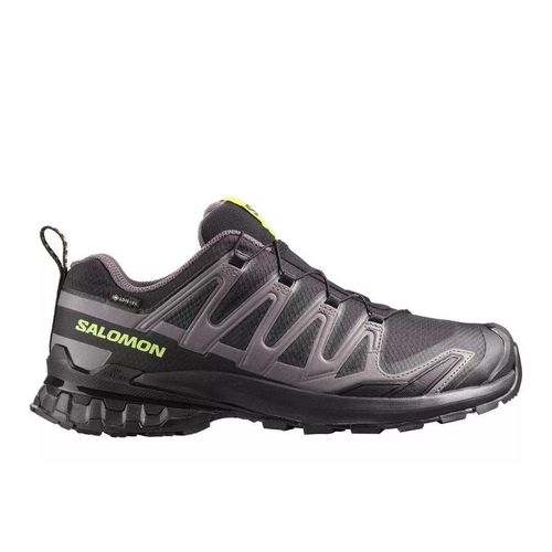 Salomon Herren Xa Pro 3D V9 GTX schwarz 46.0