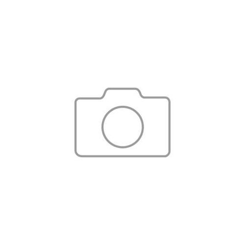 Bodenwaage KERN BID 3T-3DL, Wägebereich 1500–3000 kg, Ablesbarkeit 0,2–0,5 kg