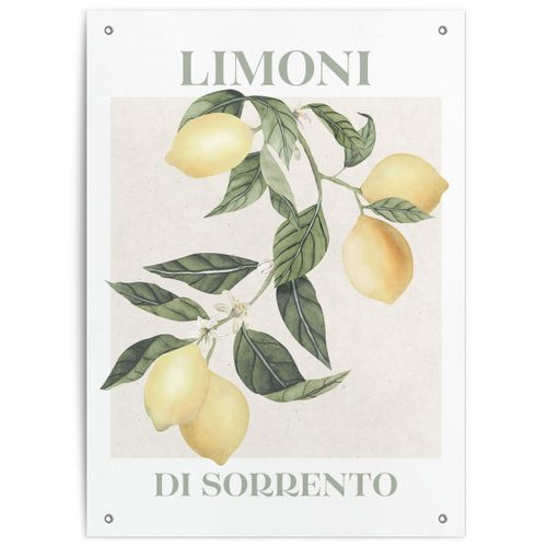 Outdoor Poster LIMONI