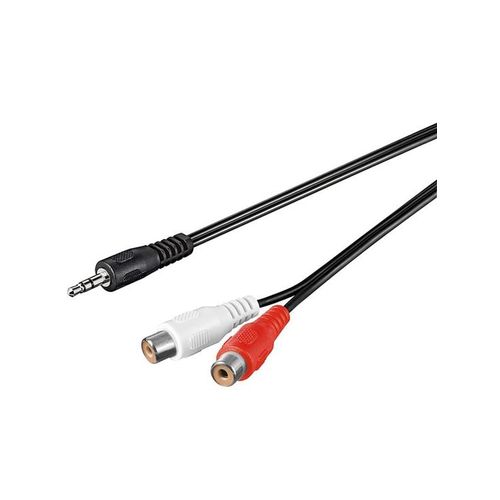 Pro MiniJack (M) - 2xRCA (F) - 1.5m