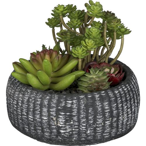 Kunstpflanze CREATIV GREEN "Sukkulentenarrangement", grün, H:16cm, Kunststoff, Kunstpflanzen, Kunstpflanze, mit trendiger Schale