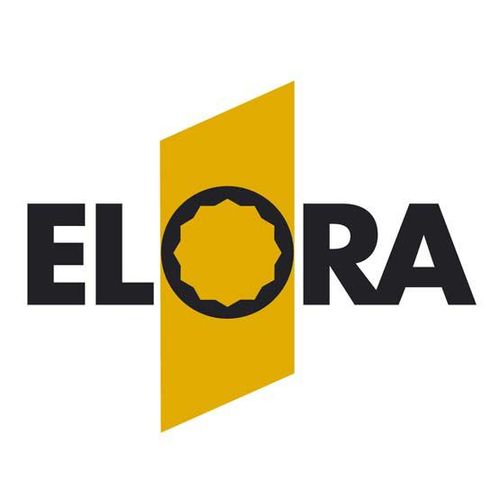 Elora Schlag-Schraubenlöser-Satz, 12-teilig, ELORA-3401-S12
