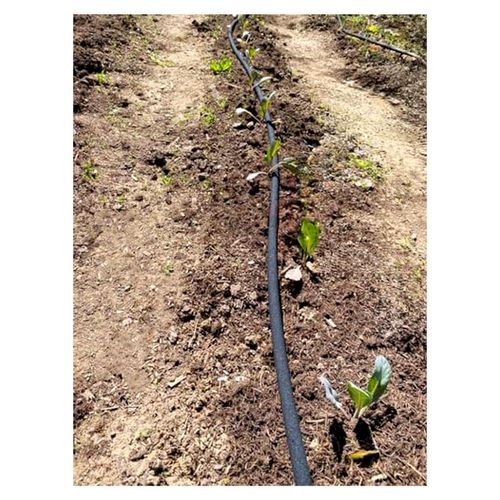 25 m CS Perlschlauch drucklos mit Anschluss-Set S5 für die drucklose Bewässerung