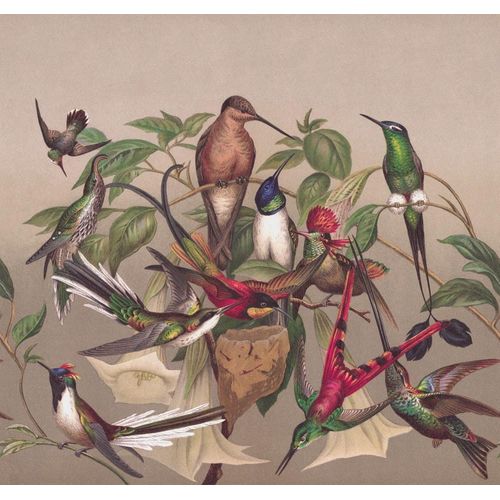 Fototapete RASCH "Vliestapete Curiosity 543568", braun, B:318m L:300m, Vlies, Tapeten, Vogelmotiv