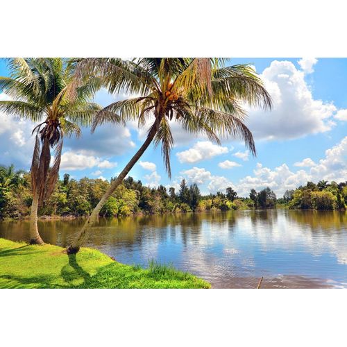 Fototapete PAPERMOON "Kubanische Landschaft", bunt, B:5m L:2,8m, Vlies, Tapeten