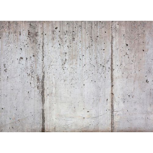 Fototapete LIVING WALLS "Beton", bunt, B:3,5m L:2,55m, Vlies, Tapeten, Fototapete Floral Grau weiß 3,50 m x 2,55 m Tapete