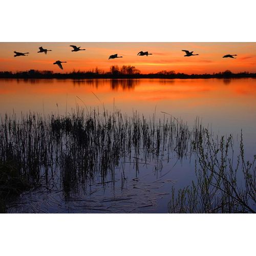 Fototapete PAPERMOON "Abenddämmerung am See", bunt, B:4,5m L:2,8m, Vlies, Tapeten