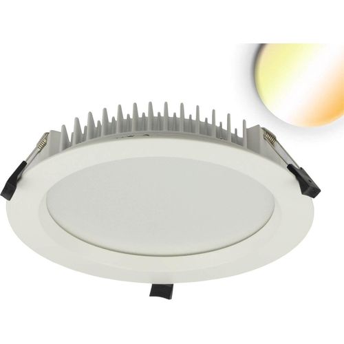 ISOLED LED Downlight blendungsreduziert, 35W, rund, DN280, CRI90, Colorswitch 3000/3500/4000K, dimmbar