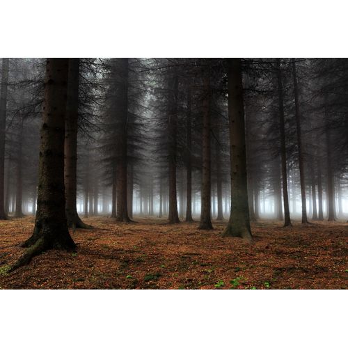 Fototapete PAPERMOON "Photo-Art DRAGISA PETROVIC, PLATZ DER STILLE", bunt, B:5m L:2,8m, Vlies, Tapeten