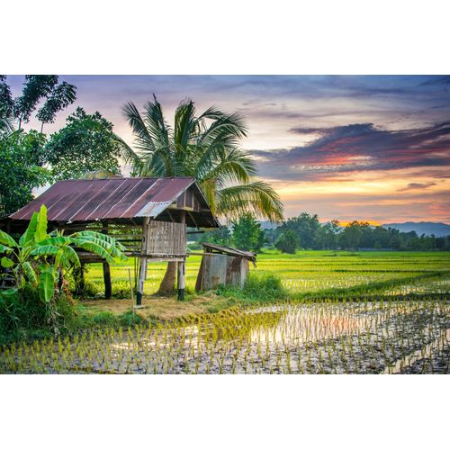 Fototapete PAPERMOON "REIS-BAUERNHOF-THAILAND HÜTTE GEBIRGE FELD GEBIRGE PALM", bunt, B:4m L:2,6m, Vlies, Tapeten