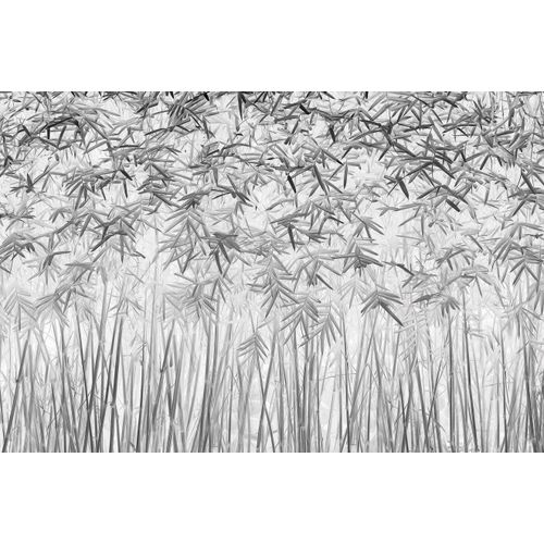 Fototapete PAPERMOON "Photo-Art JEFFLIN LING, PARALLELITÄT", bunt, B:3,5m L:2,6m, Vlies, Tapeten