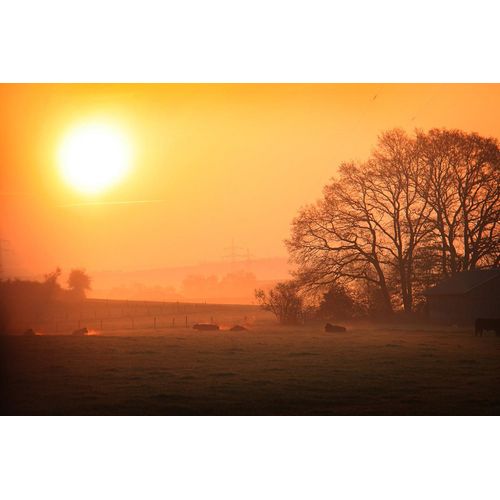 Fototapete PAPERMOON "Sonniger nebliger Sonnenaufgang", bunt, B:5m L:2,8m, Vlies, Tapeten