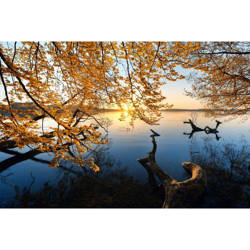 Fototapete PAPERMOON "Photo-Art KELLER, HERBSTMORGEN", bunt, B:4m L:2,6m, Vlies, Tapeten