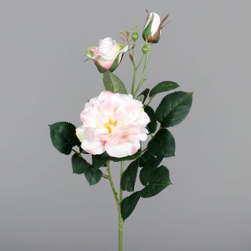 Kunstblume Rosenzweig