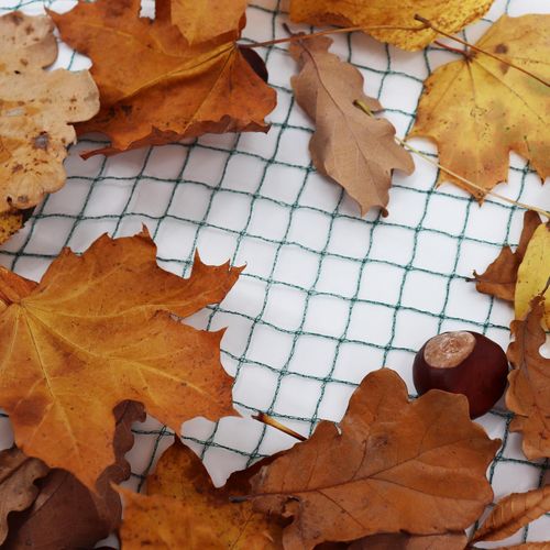 Aquagart Teichnetz 7m x 8m Reiherschutz Silonetz Laubschutznetz Vogelschutznetz Laubnetz