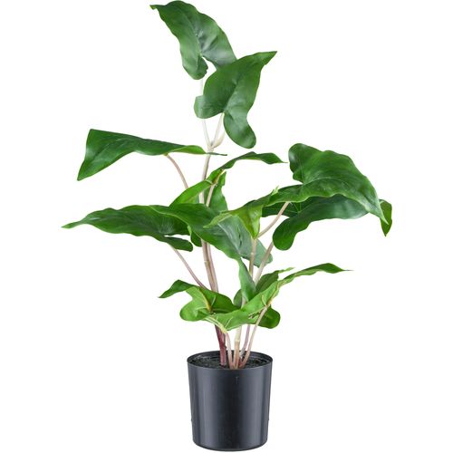 Kunstpflanze CREATIV GREEN "Colocasia esculenta", grün, H:50cm, Kunststoff, Kunstpflanzen, Kunstpflanze, mit detailgetreuem Blattwerk