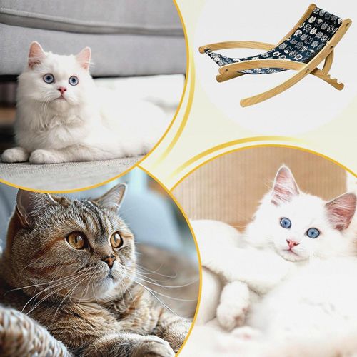 Katzenkratzstuhl | Sisal Kratzstuhl Für Hauskatzen | Tragbares Verstellbares Bett Faltbarer Gemütlicher Haustierliegeplatz Für Möbelschutz