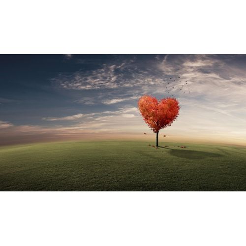 Fototapete PAPERMOON "KONZEPT SURREAL-FANTASIE KONZEPT BAUM HERZ WIESE SONNE", bunt, B:4,5m L:2,8m, Vlies, Tapeten