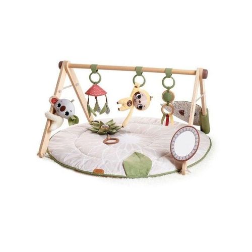 Tiny Love Boho Chic - Luxe Developmental Gymini