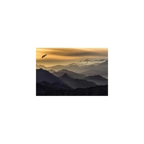 Fototapete PAPERMOON "Photo-Art JUAN I CUADRADO, SCHICHTEN", bunt, B:4,5m L:2,8m, Vlies, Tapeten