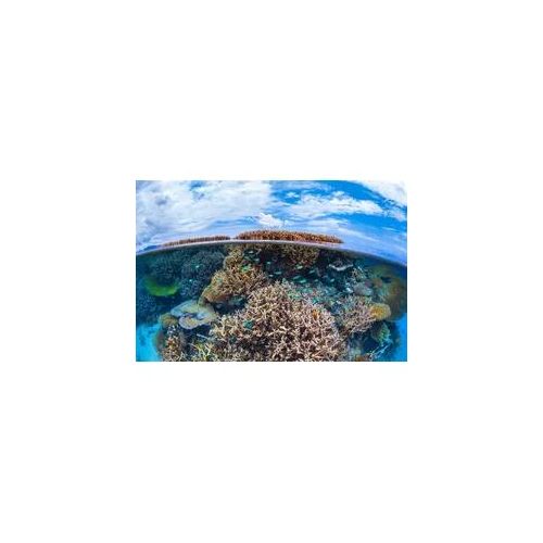 Fototapete PAPERMOON "Photo-Art BARATHIEU GABRIEL, SPLIT-LEVEL VON MAYOTTE REEF", bunt, B:4,5m L:2,8m, Vlies, Tapeten