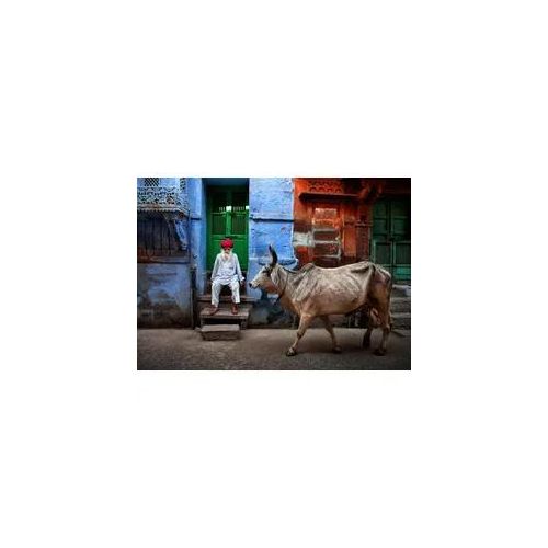 Fototapete PAPERMOON "Photo-Art FADHEL ALMUTAGHAWI, INDIEN", bunt, B:4m L:2,6m, Vlies, Tapeten