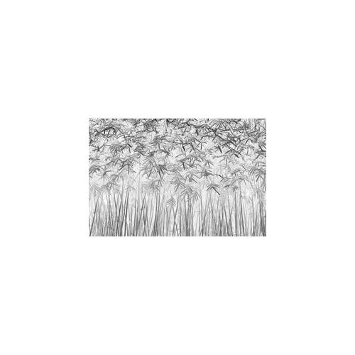 Fototapete PAPERMOON "Photo-Art JEFFLIN LING, PARALLELITÄT", bunt, B:4m L:2,6m, Vlies, Tapeten