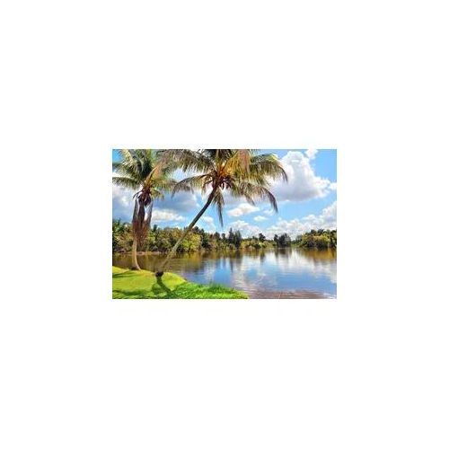 Fototapete PAPERMOON "Kubanische Landschaft", bunt, B:4m L:2,6m, Vlies, Tapeten