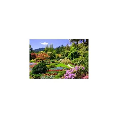 Fototapete PAPERMOON "Butchart Gardens", bunt, B:3,5m L:2,6m, Vlies, Tapeten
