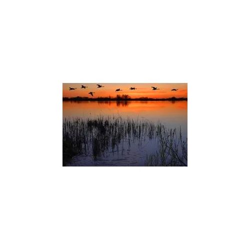 Fototapete PAPERMOON "Abenddämmerung am See", bunt, B:5m L:2,8m, Vlies, Tapeten