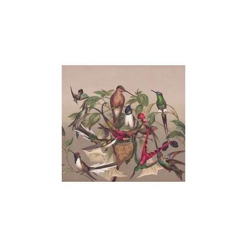 Fototapete RASCH "Vliestapete Curiosity 543568", braun, B:318m L:300m, Vlies, Tapeten, Vogelmotiv