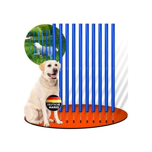 PfotenWunder® 10x Slalomstangen, Profi-Agility-Slalom-Set groß Sport, für kleine & große Hunde-Training Parcour Zubehör